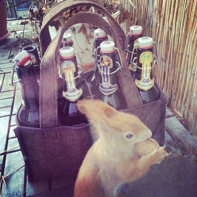 Bierh&ouml;rnchen