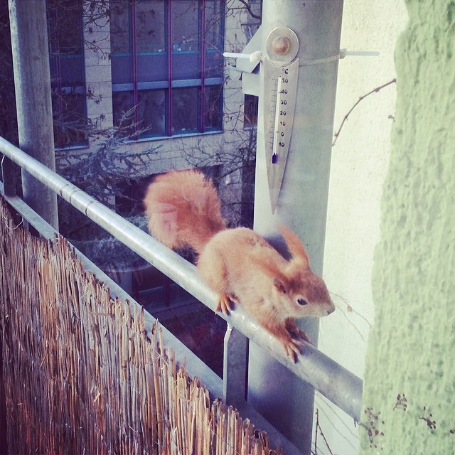 Foto 28.02.2014