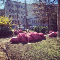 Die rosa-M&uuml;llsack-Bande hat wieder zugeschlagen.