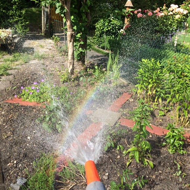 Wie der Kaiser auf Englisch sagen w&uuml;rde: I'm giesing