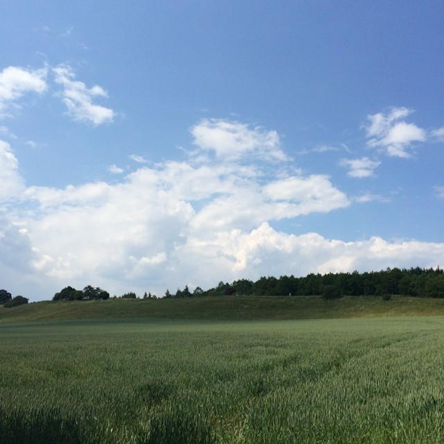 Zur Ilkah&ouml;he
