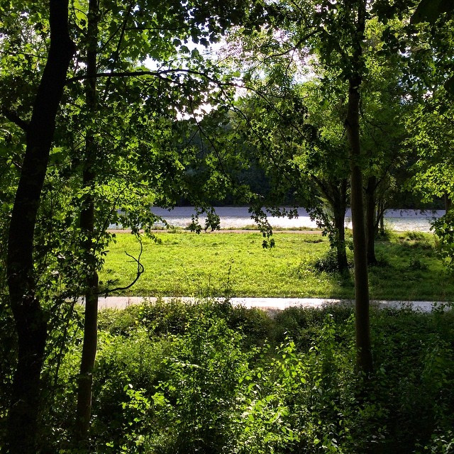 Kuckuck Isar