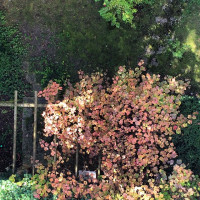 Herbst im Hof