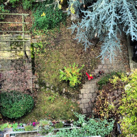 Der bunte Punkt ist die Tochter. Und sie recht. Laub.