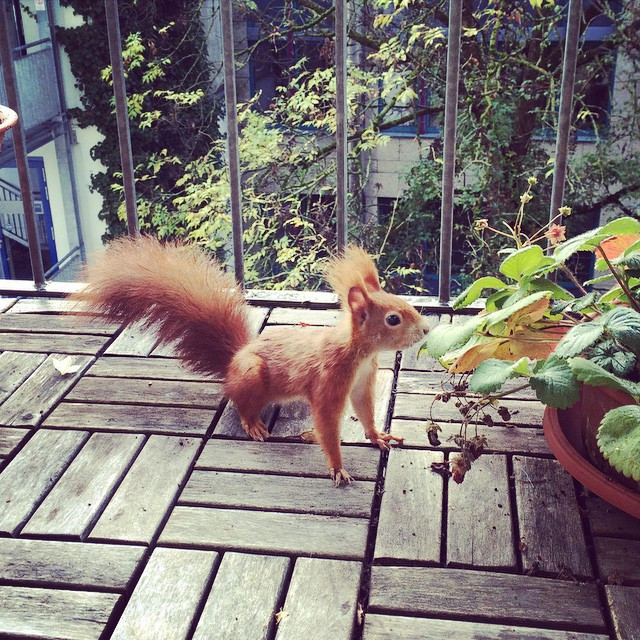 Foto 16.10.2014