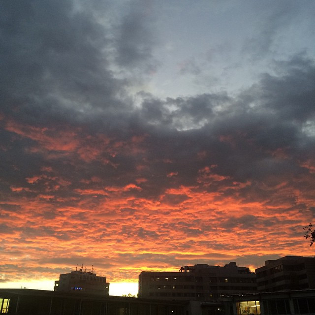 Moin M&uuml;nchen