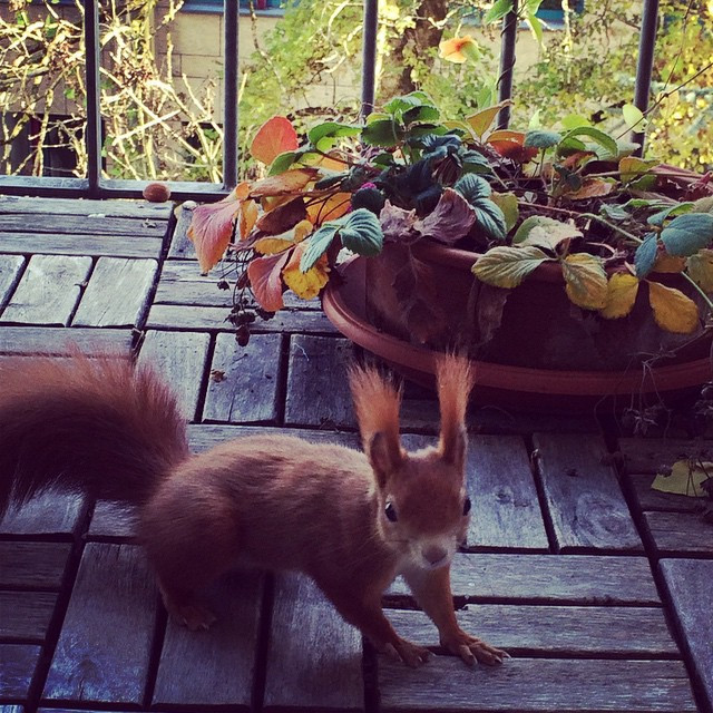 Foto 04.11.2014