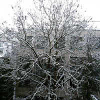 Schnee!