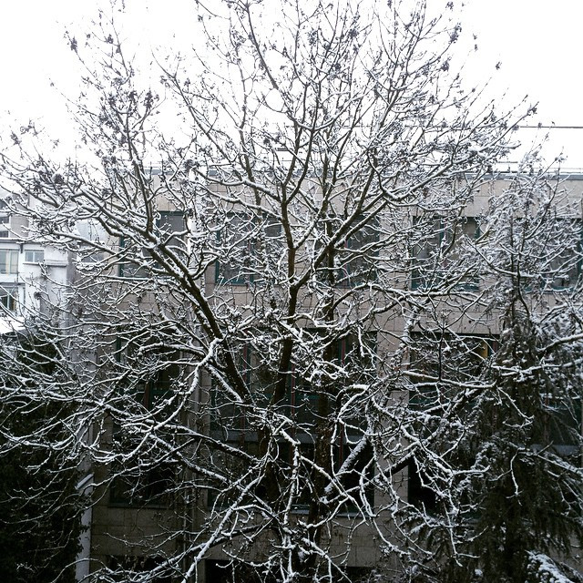 Schnee!