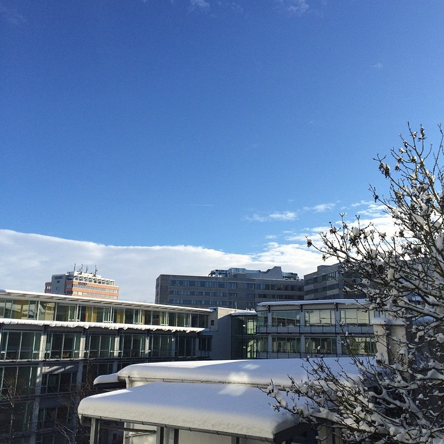 Moin M&uuml;nchen