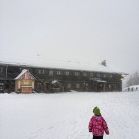 Pinkschnee