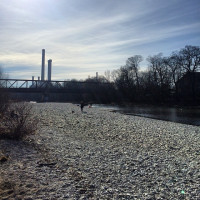Isarkiesel