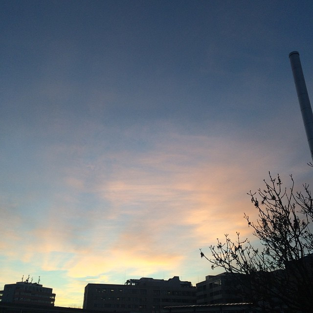 Moin M&uuml;nchen