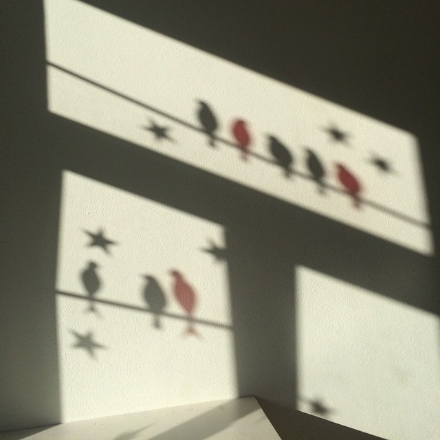 Die V&ouml;gel