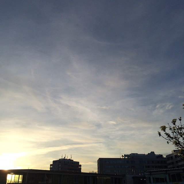 Moin M&uuml;nchen