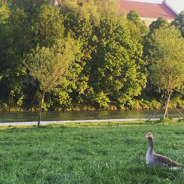 Moin M&uuml;nchen