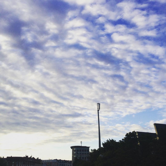 Moin Giesing
