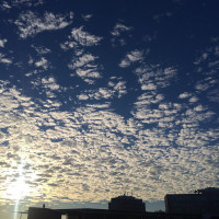 Moin M&uuml;nchen