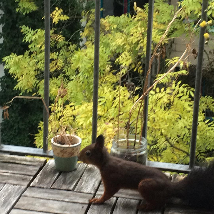 Er ist wieder da.