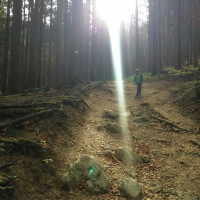 Gegenlicht