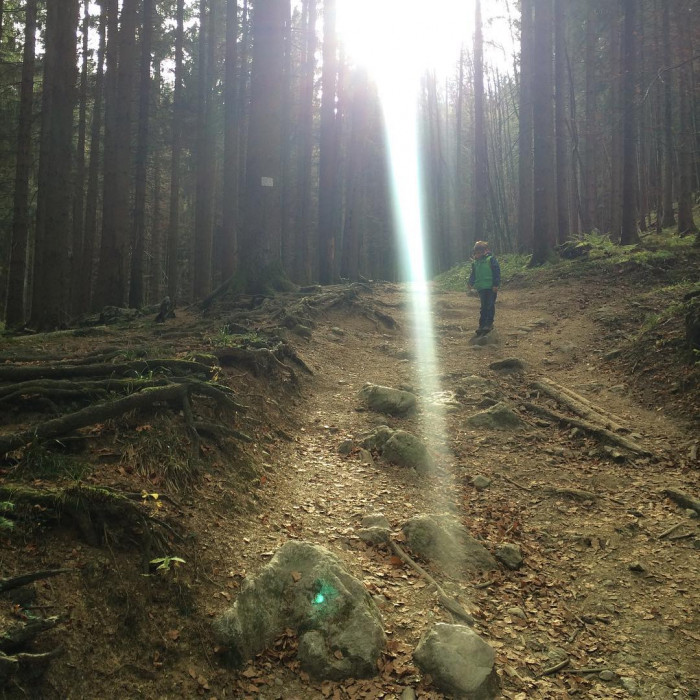 Gegenlicht