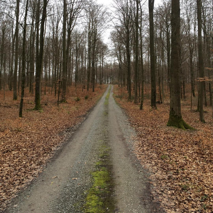 Herbst