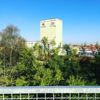 Moin M&uuml;nchen