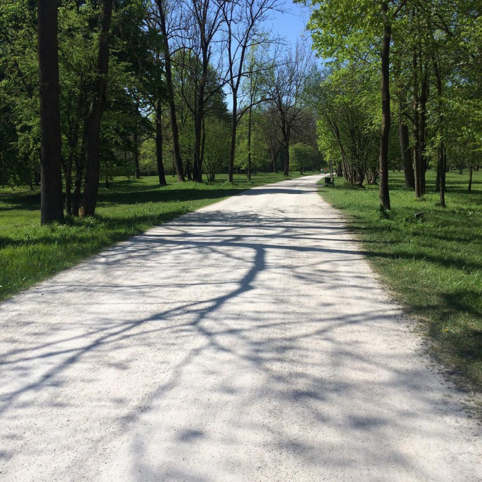 Englischer Garten