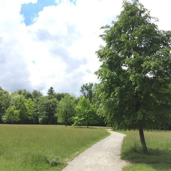Moin M&uuml;nchen