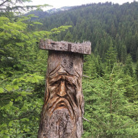 Grumpy old man.