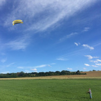 Lenkt