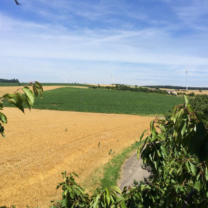 Mal kucken ob der Kirschbaum auch dreistellige Nutzlast kann.