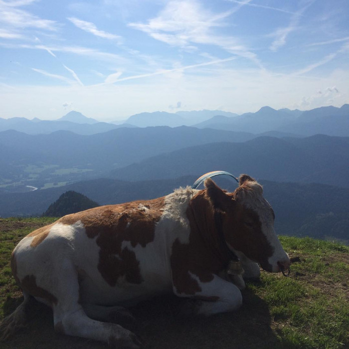 Moin Brauneck