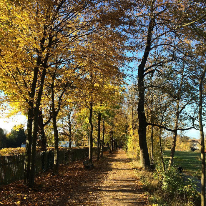 Moin M&uuml;nchen