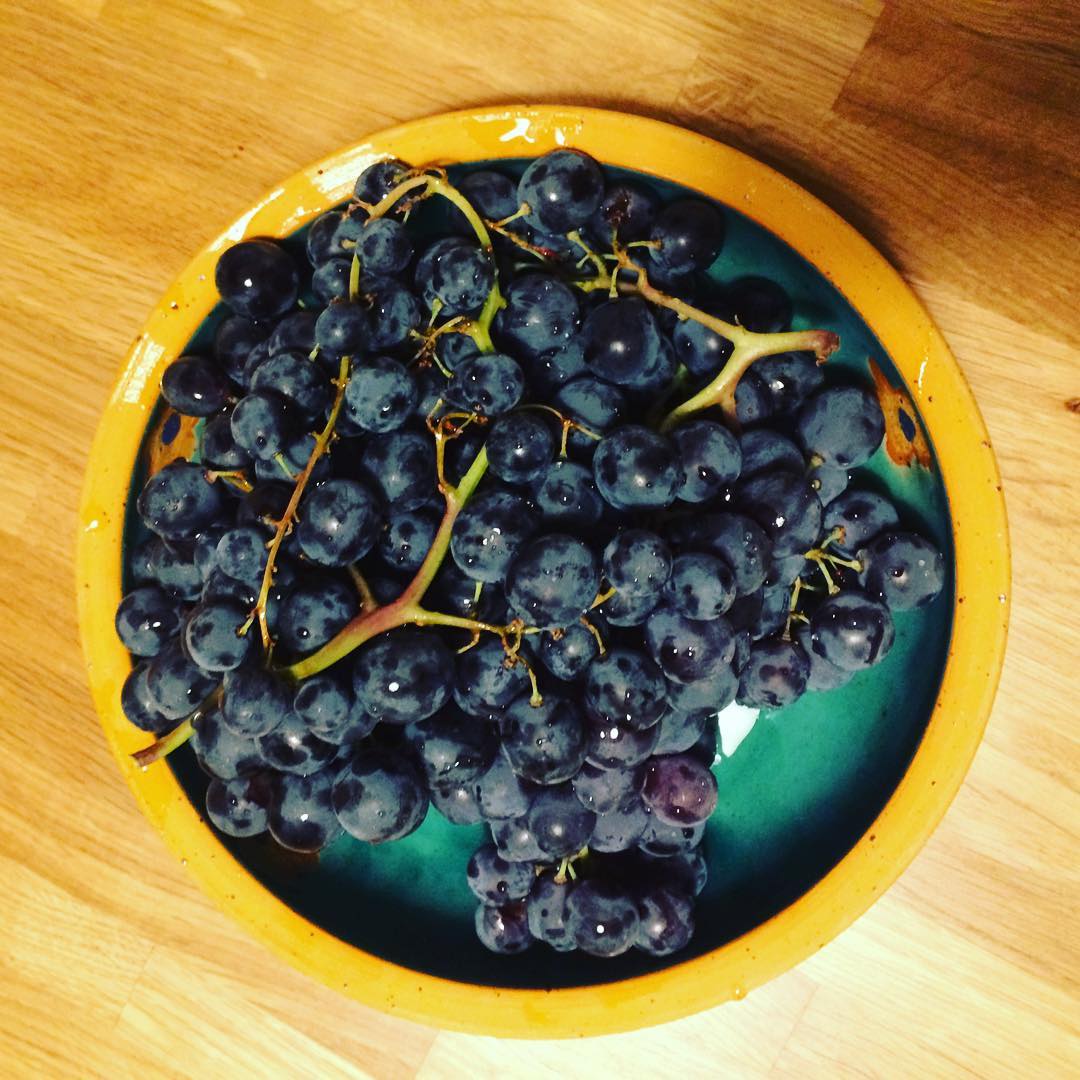 Trauben fotografieren, Schokobons essen.