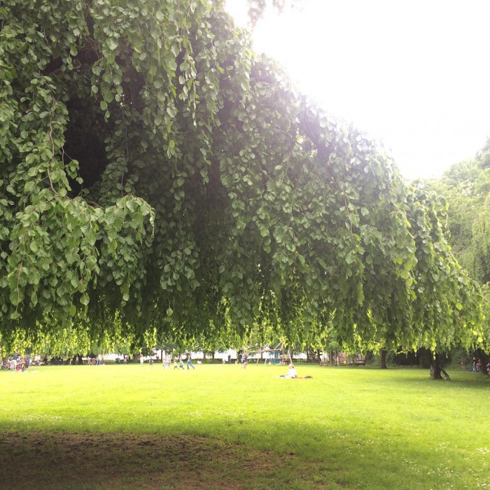 Spielplatz