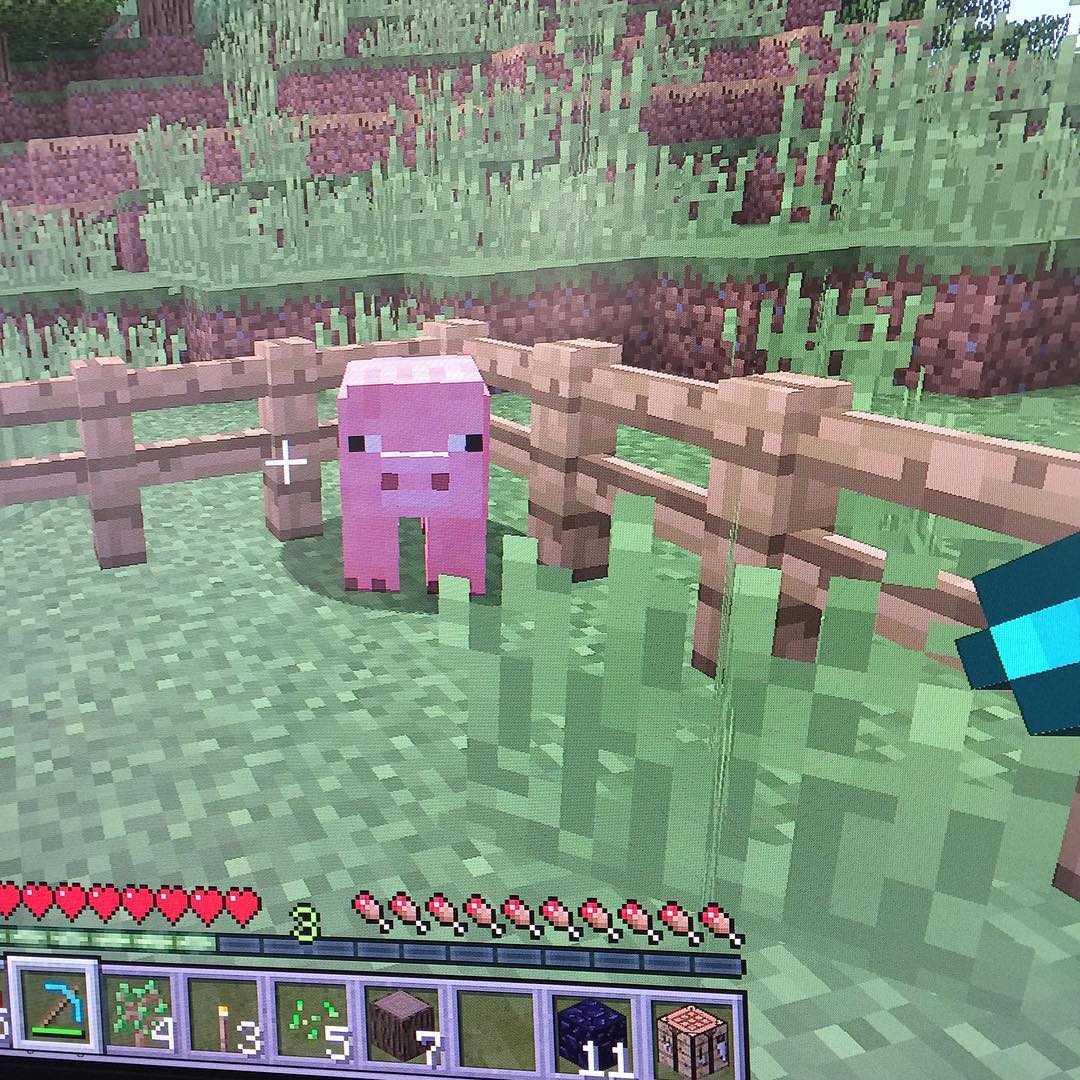 Minecraft mit 🐷