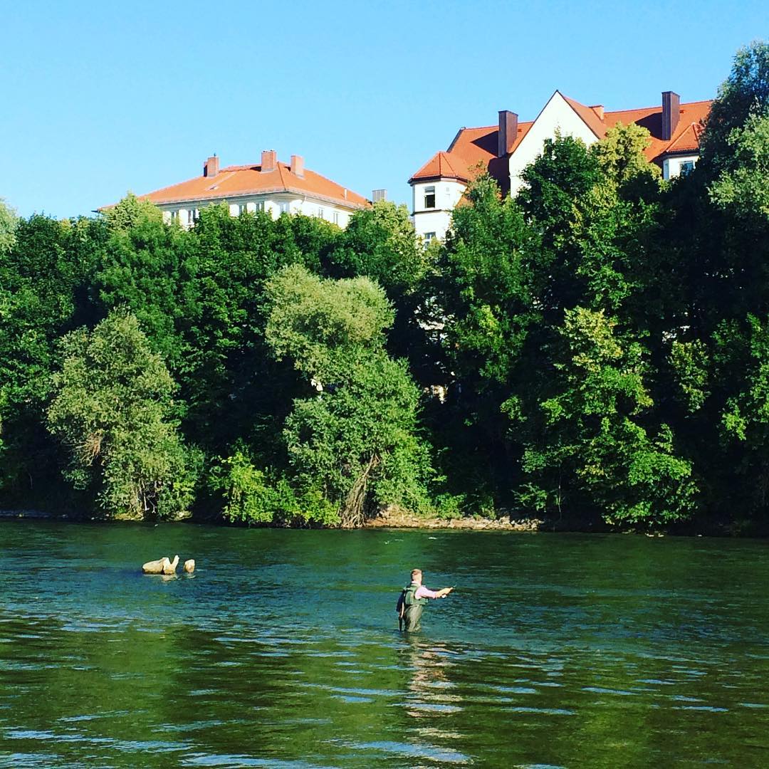 Moin M&uuml;nchen. (frischer Fisch auf den Tisch)