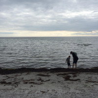 Bisschen frisch. 🇸🇪