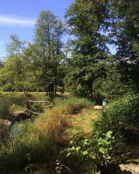 Wandertag 🇸🇪