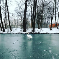 Moin M&uuml;nchen