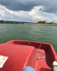 🚤