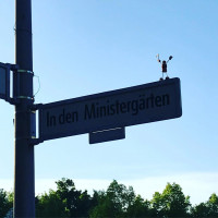 \o/