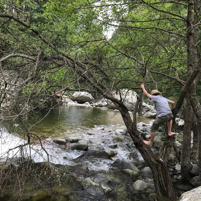 Von Corte aus kann man das Tavignanotal ausw&auml;rts wandern. N&ouml;rdlich der Zitadelle von Corte ist der E