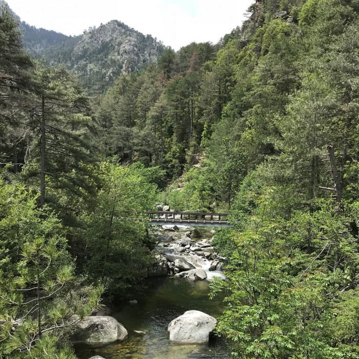 Von Corte aus kann man das Tavignanotal ausw&auml;rts wandern. N&ouml;rdlich der Zitadelle von Corte ist der E