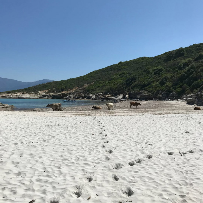 Von Saint-Florent f&auml;hrt man mit dem Boot (erste Fahrt in der Nebensaison um 10:00 mit  @le.popeye) i