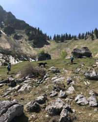 Zum Bodenschneid