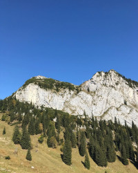 Weil ich endlich mal auf die Tegernseer H&uuml;tte wollte, sind wir da heute hin. Auf dem letzten St&uuml;ck n