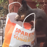 Foto 09.11.2018