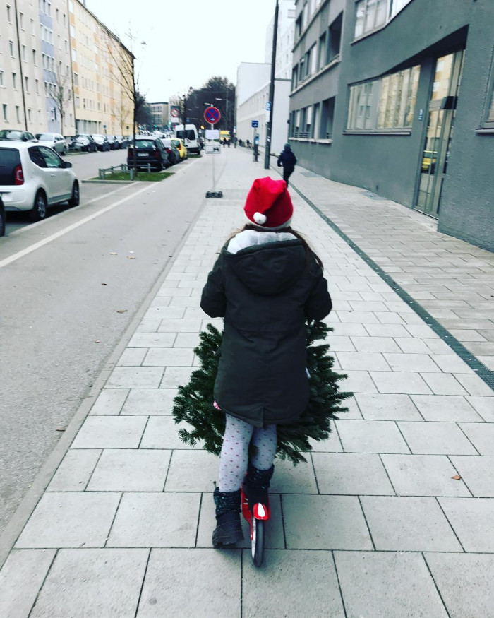 Santa rollt den Weihnachtsbaum heim.
